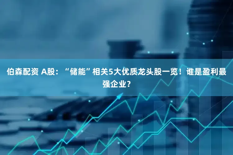 伯森配资 A股：“储能”相关5大优质龙头股一览！谁是盈利最强企业？